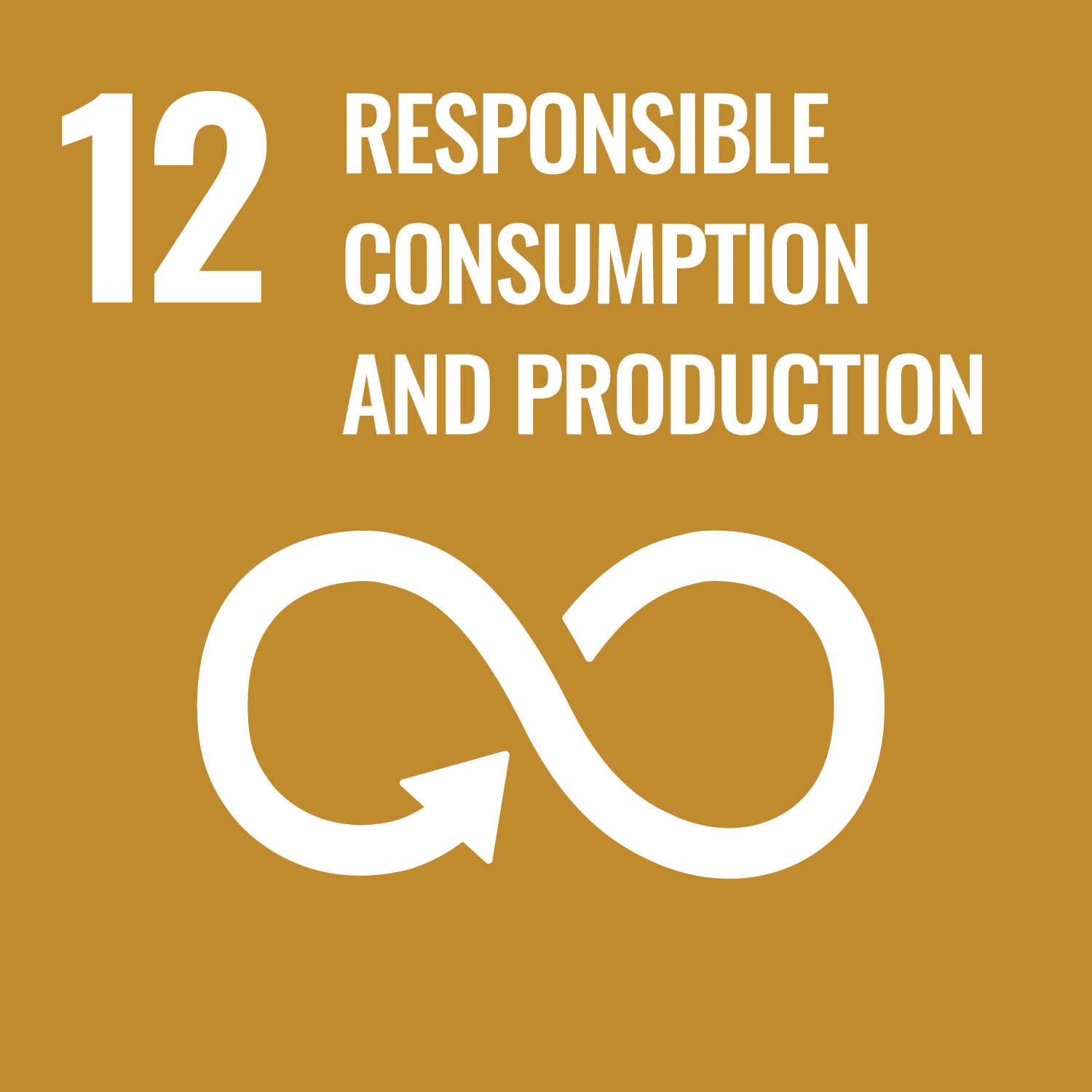 United Nations Sustainable Development Goal 12 - Responsible Consumption & Production